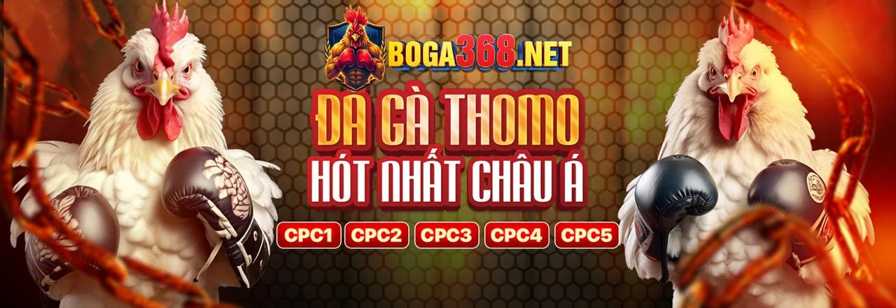 Đá gà kịch tính tại f1688 chính thức